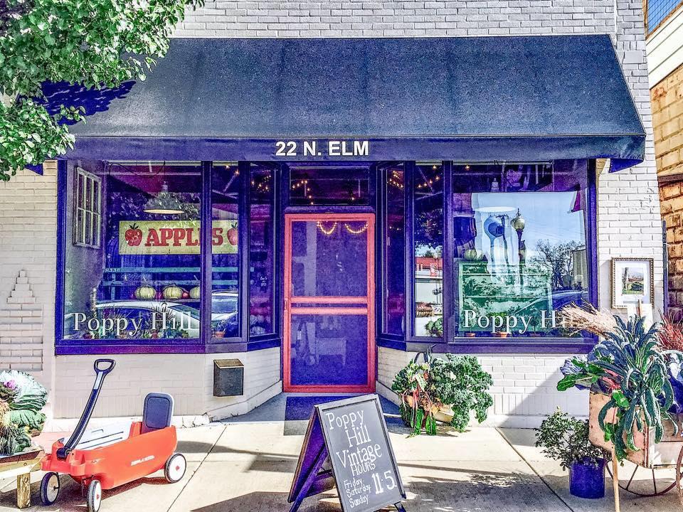 Poppy Hill Vintage store front three oaks michigan